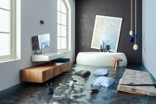 Ely, MN Water damage restoration Pros