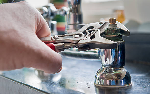 Best Professional water damage repair  in Ely, MN