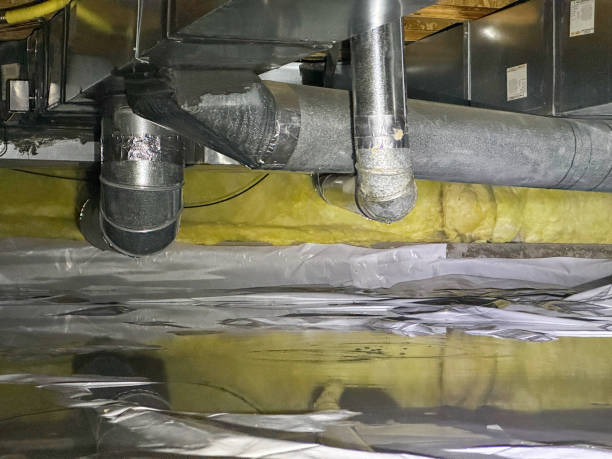 Best Water damage cleanup near me  in Ely, MN
