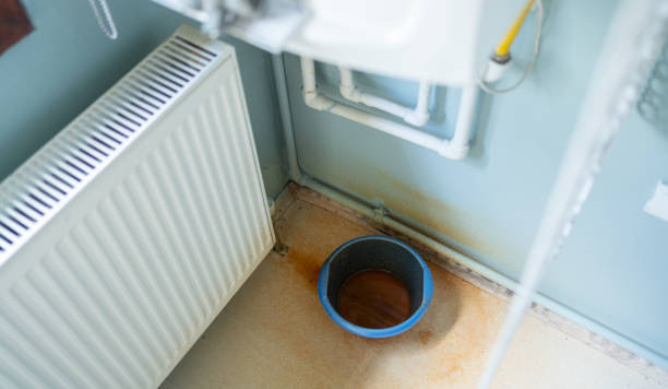 Best Ceiling water damage repair  in Ely, MN