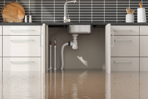 Best Flood restoration services  in Ely, MN