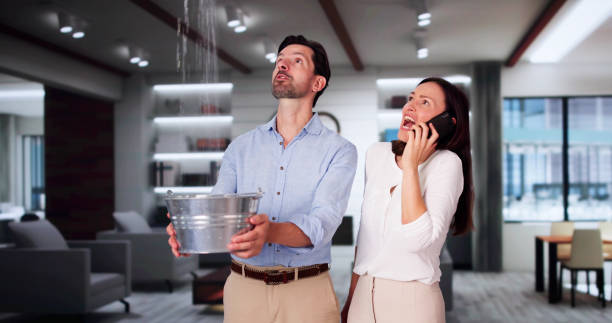 Best Water damage restoration near me  in Ely, MN
