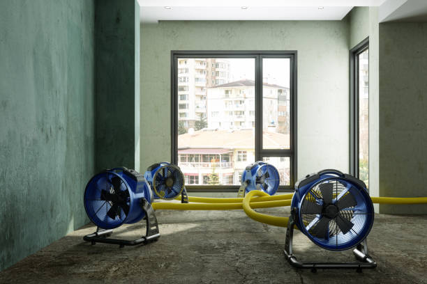 Best Water damage restoration process  in Ely, MN