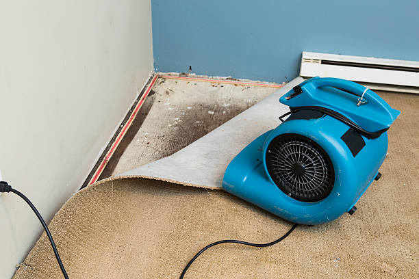 Carpet water damage restoration in Ely, MN